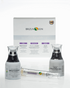 BRAZILIAN FACELIFT KIT 30% OFF with INTROSPECIAL Code